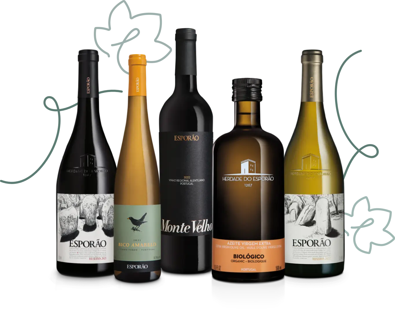 Wine bottles selection