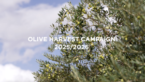 Esporão Olive Oil Harvest 2025